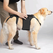 Load image into Gallery viewer, large size dog back brace
