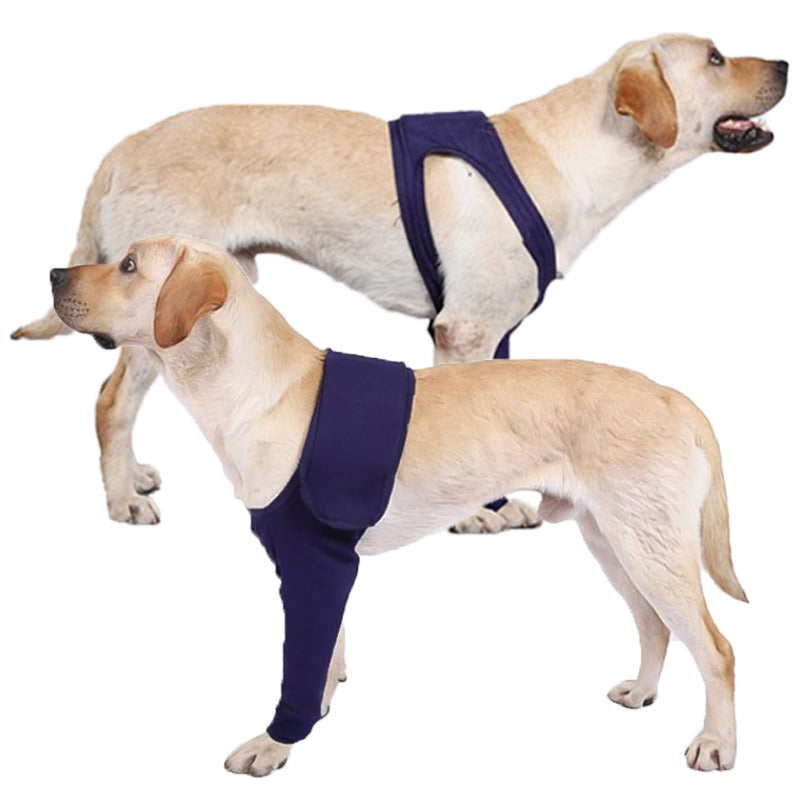 dog front leg brace universal for left and right legs