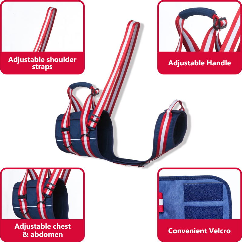 breathable dog lift harness details