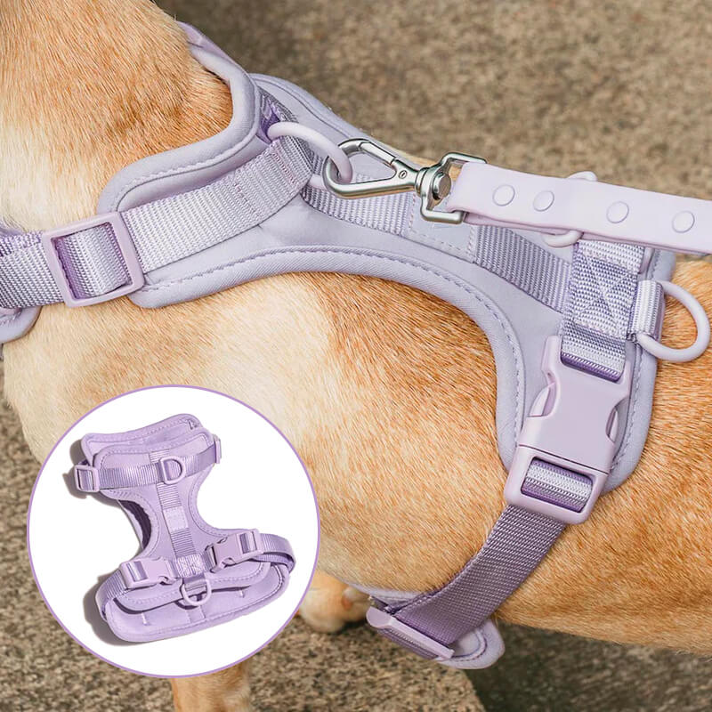 lilac dog vest harnesses 