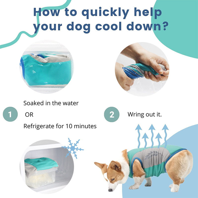 dog cooling vest use steps