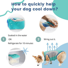 Load image into Gallery viewer, dog cooling vest use steps
