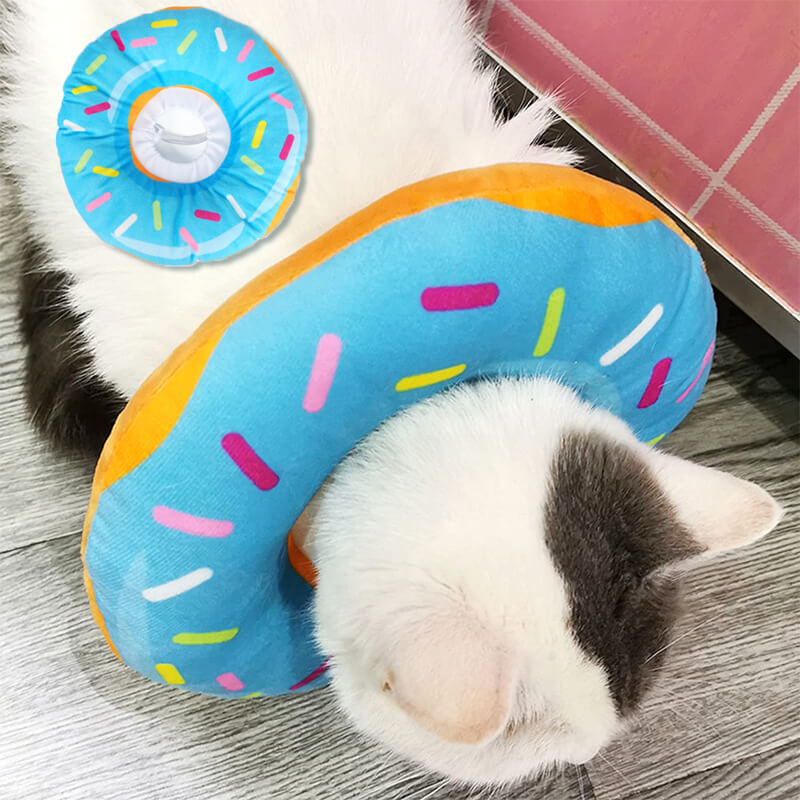 A-blue donut cat cone