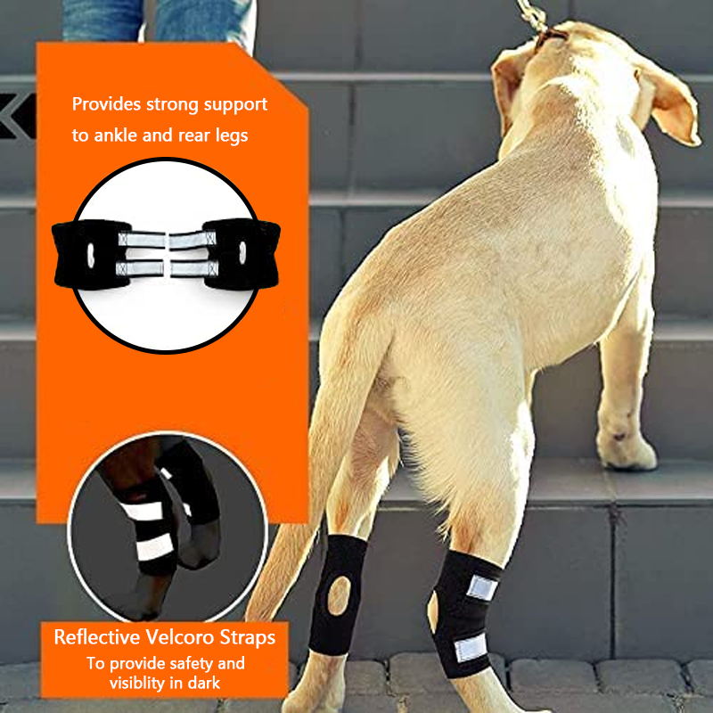 dog leg hock brace details