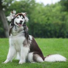 Load image into Gallery viewer, HiFuzzyPet Warm Dog Hat, Pet Winter Pilot Hat
