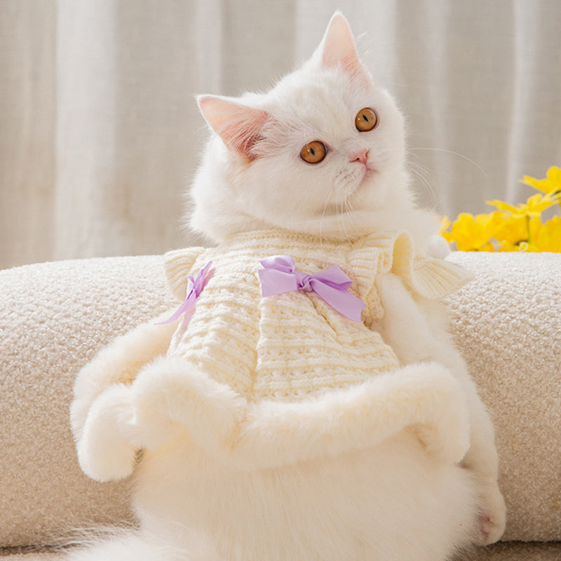 white dog sweater with bow