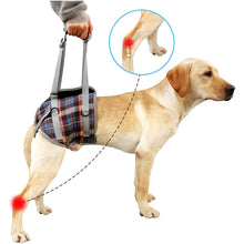 Load image into Gallery viewer, HiFuzzyPet Dog Lift Harness with Handle, Pet Recovery Sling
