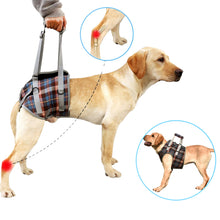 Load image into Gallery viewer, HiFuzzyPet Dog Lift Harness with Handle, Pet Recovery Sling
