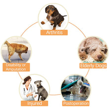 Load image into Gallery viewer, HiFuzzyPet Dog Lift Harness with Handle, Pet Recovery Sling
