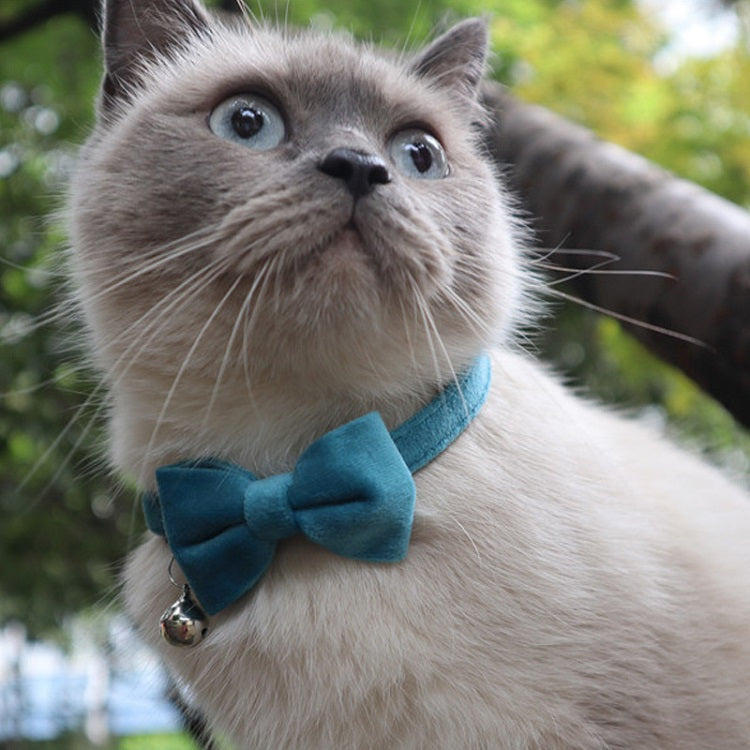 HiFuzzyPet 2/4 Pack Cat Bow Tie Collar, Breakaway Cat Collar
