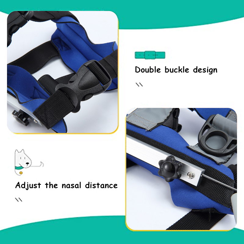 adjustable blind dog halo wuth buckle