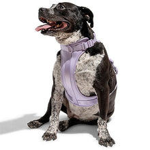 Load image into Gallery viewer, lilac dog vest harnesses
