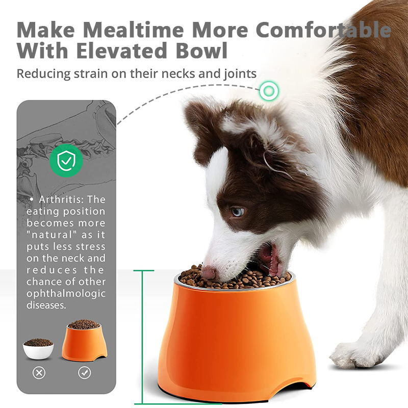 elevated dog bowl protect pets spine