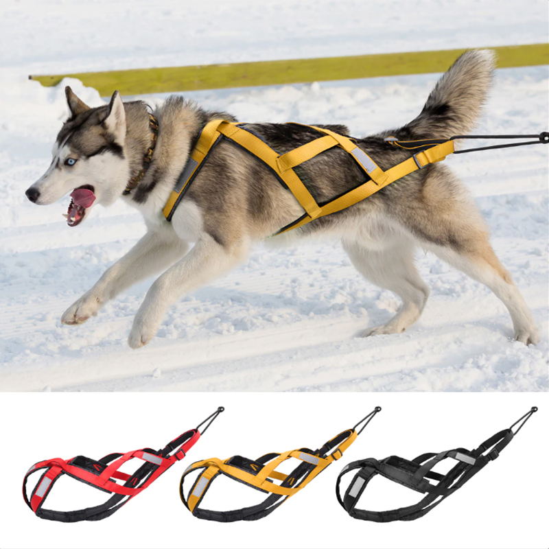 dog sledding harness for 3 color