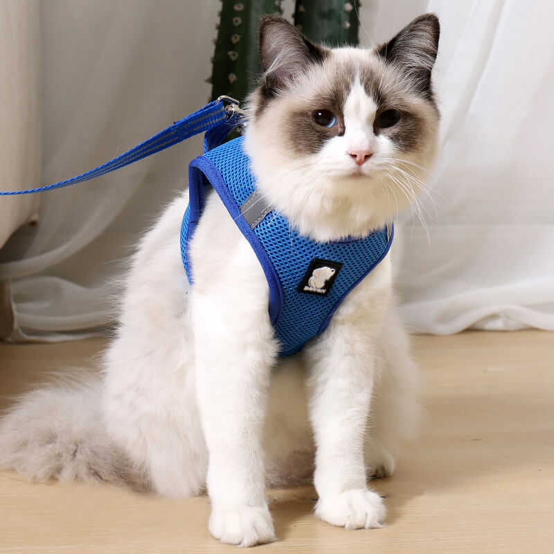 HiFuzzyPet Air Mesh Cat Harness and Leash Set