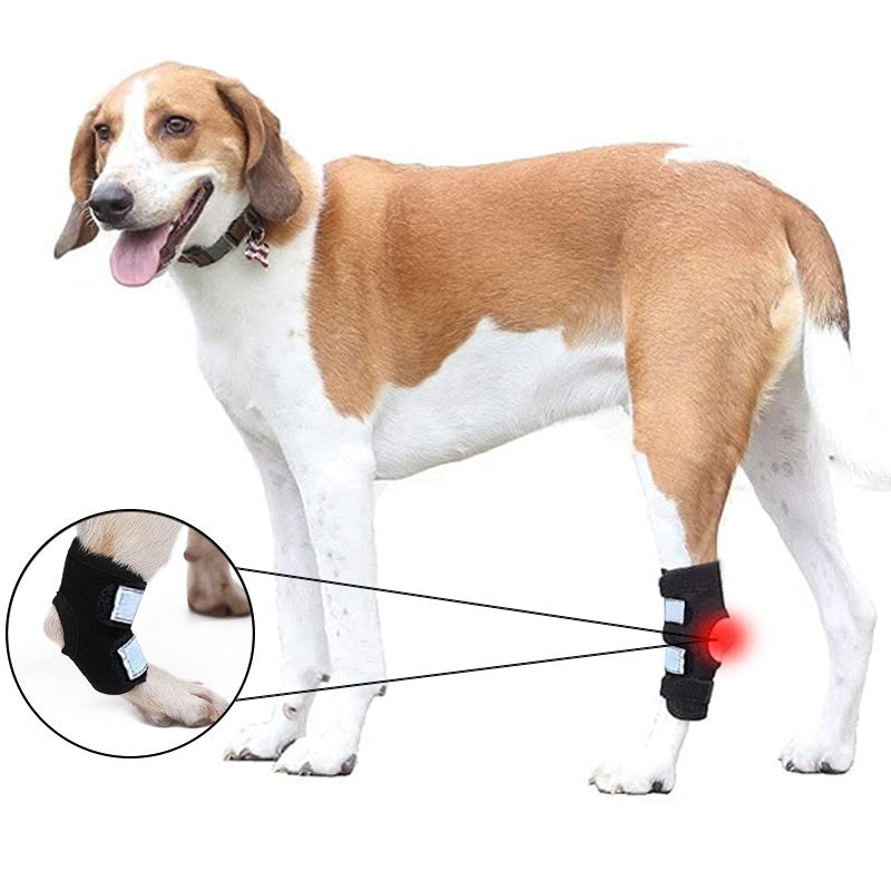 dog leg hock brace