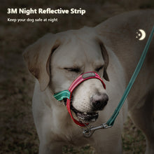 Load image into Gallery viewer, reflective gentle leader head collar
