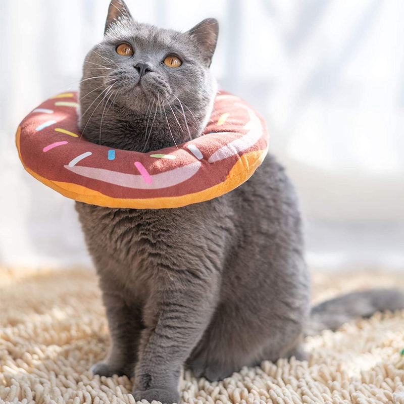 A-brown donut cat cone