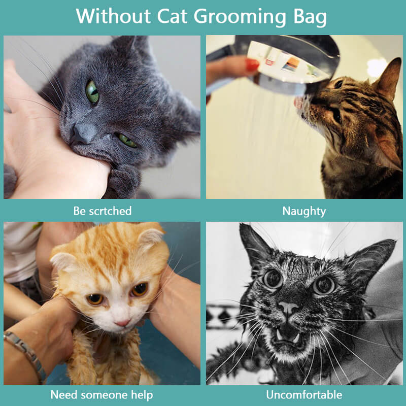 without cat bathing bag cat will hurt you