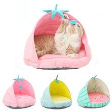 Load image into Gallery viewer, HiFuzzyPet Fruit Cute Cat Bed Pet Tent Bed
