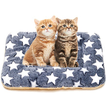 Load image into Gallery viewer, HiFuzzyPet Cozy Blanket For Cats, Puppy Crate Mat
