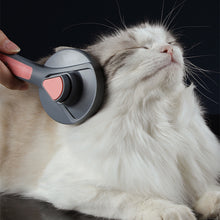 Load image into Gallery viewer, HiFuzzyPet Cat Brush For Long Hair, Comb For Shedding
