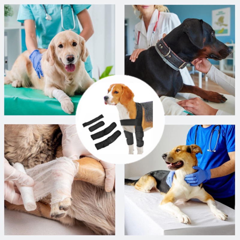 dog elbow pads effects