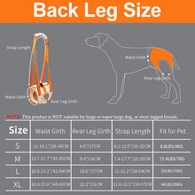 Load image into Gallery viewer, Dog lift harness back leg size chart
