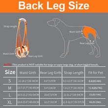 Load image into Gallery viewer, Dog lift harness back leg size chart
