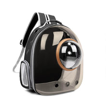 Load image into Gallery viewer, HiFuzzyPet Clear Cat Carrier Backpack with Window
