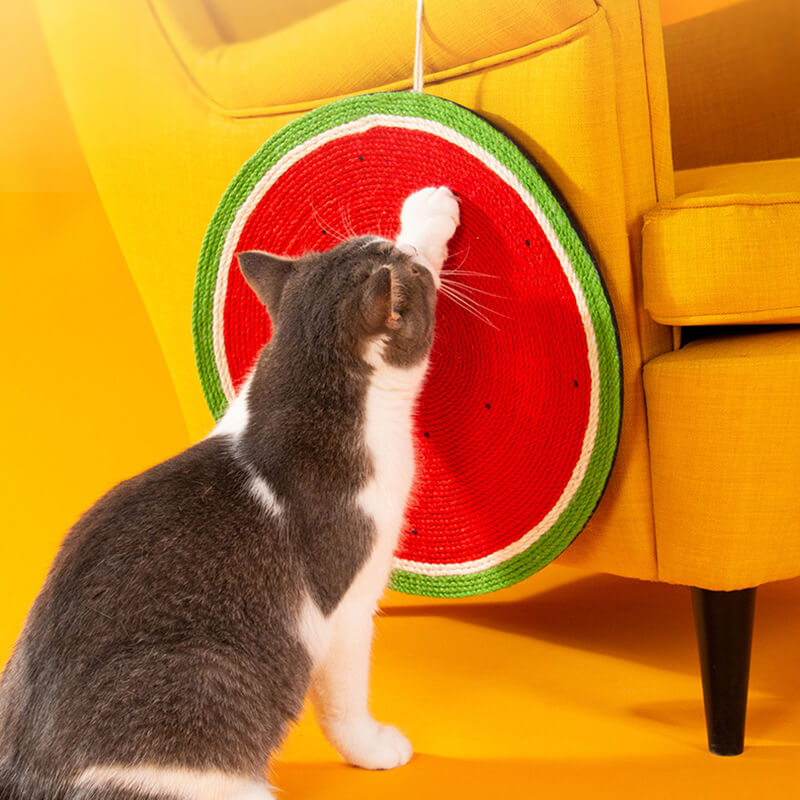 watermelon cat scratching pad