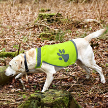 Load image into Gallery viewer, HiFuzzyPet Reflective Dog Safety Vest for Day or Night Outdoor Activity
