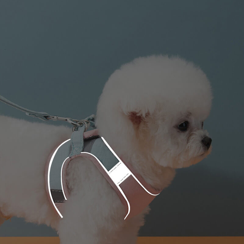 HiFuzzyPet Escape-proof Cat Harness and Leash for Walking