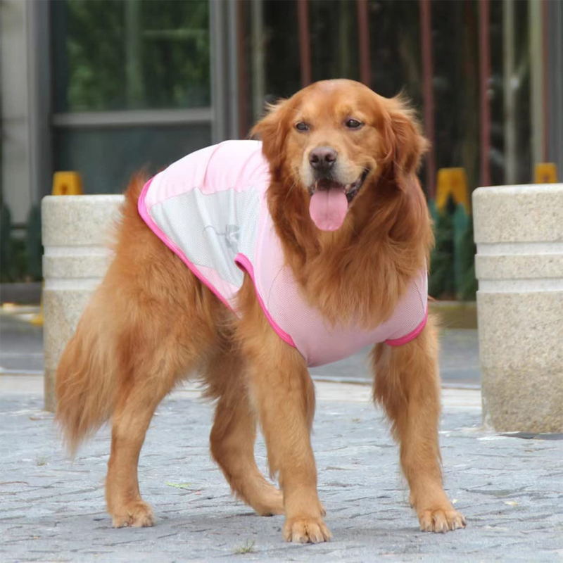 pink dog cooling vest 