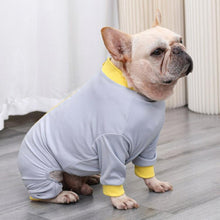 Load image into Gallery viewer, HiFuzzyPet Dog Recovery Suit after Surgery
