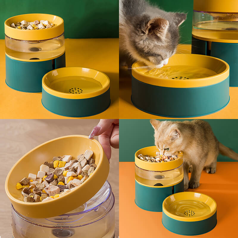 2 in 1 Cat Bowl Feeder and Water Bowl Set
