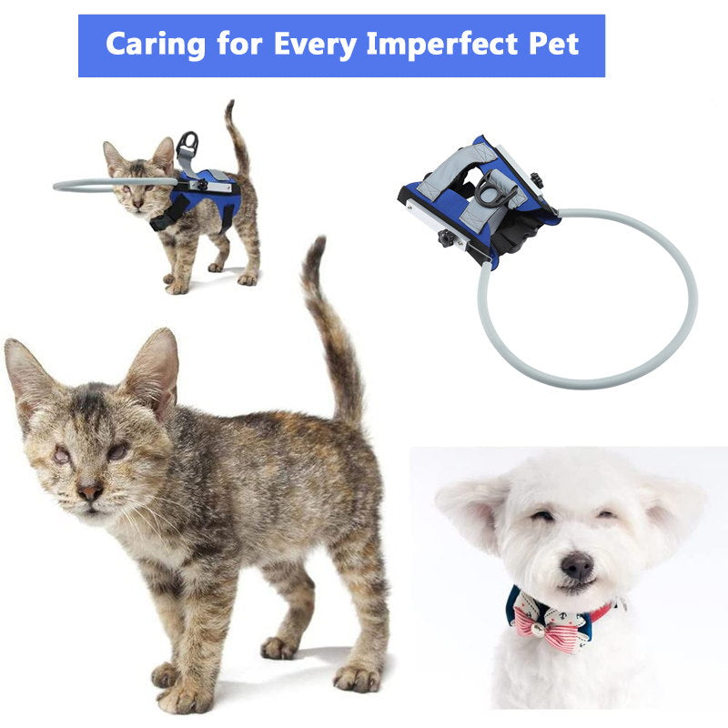 blind dog halo make pet happy and fun