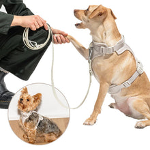 Load image into Gallery viewer, grey dog vest harnesses 
