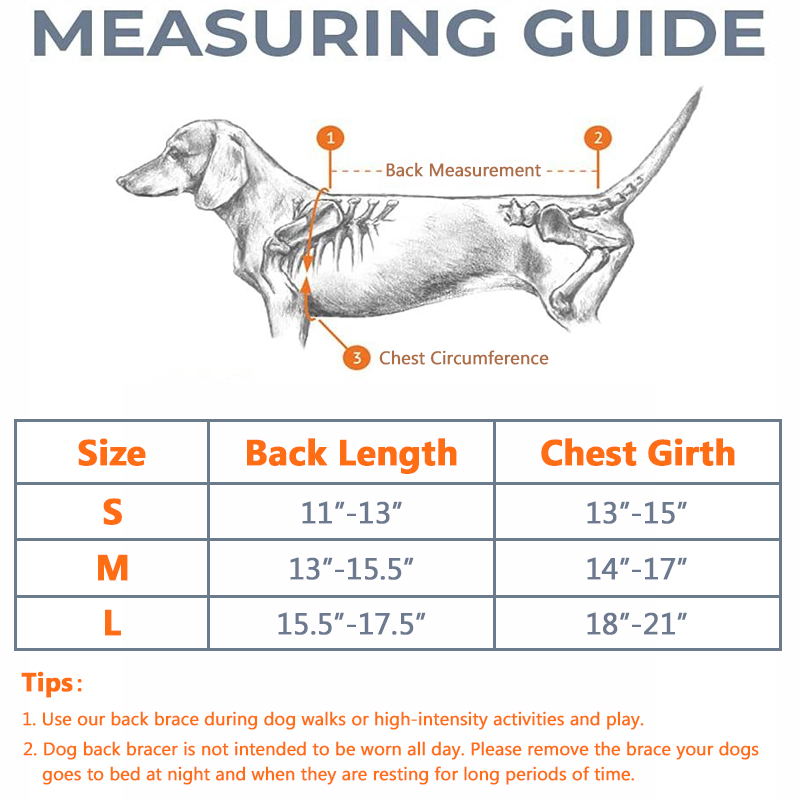 dog back brace size chart