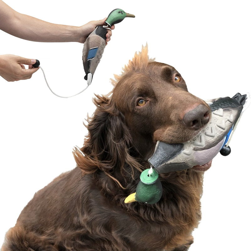 duck dog bumpers protect dog's teeth