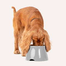 Load image into Gallery viewer, grey elevated dog bowls

