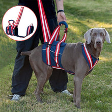 Load image into Gallery viewer, Breathable Full Body dog lift harness
