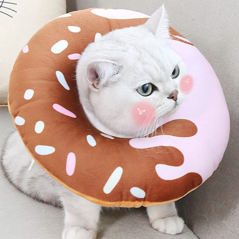 C-brown donut cat cone