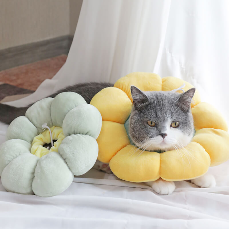 HiFuzzyPet Cute Flower Shape Cat Cone Collar, Waterproof