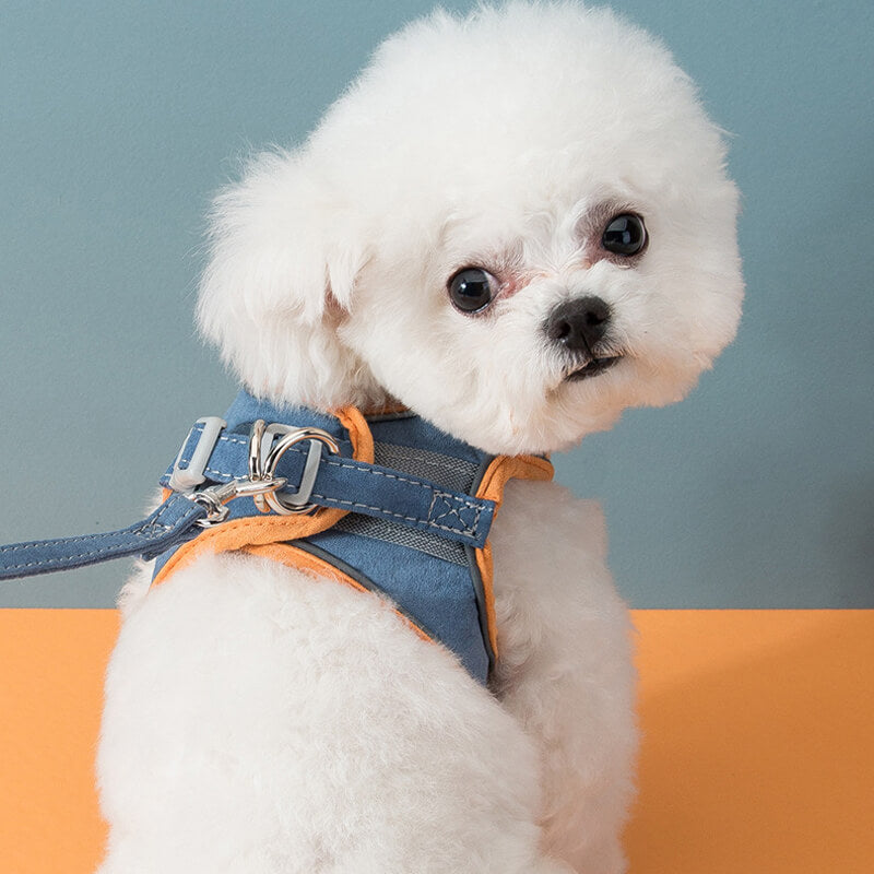 HiFuzzyPet Escape-proof Cat Harness and Leash for Walking