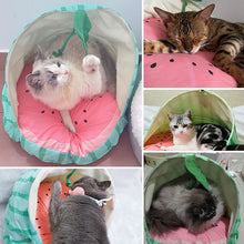 Load image into Gallery viewer, HiFuzzyPet Fruit Cute Cat Bed Pet Tent Bed
