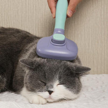 Load image into Gallery viewer, HiFuzzyPet 360° Rotatable Cat Brush for Shedding and Grooming
