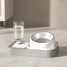 Load image into Gallery viewer, HiFuzzyPet Cat Bowls Water and Food Bowl Set, 2 in 1
