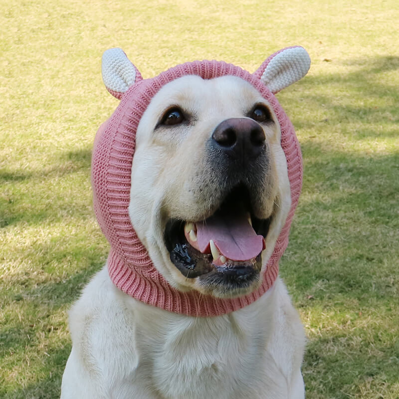 HiFuzzyPet Knitted Dog Hats for Winter