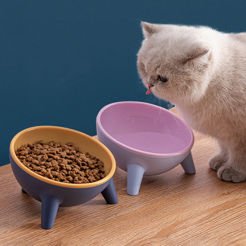 HiFuzzyPet 15° Tilted Elevated Cat Bowls for Anti-Vomitng